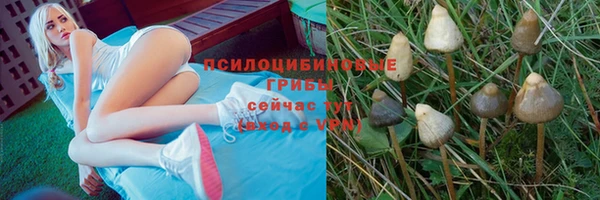 дживик Аркадак