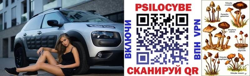 ссылка на мегу зеркало  Сухой Лог  Псилоцибиновые грибы ЛСД 